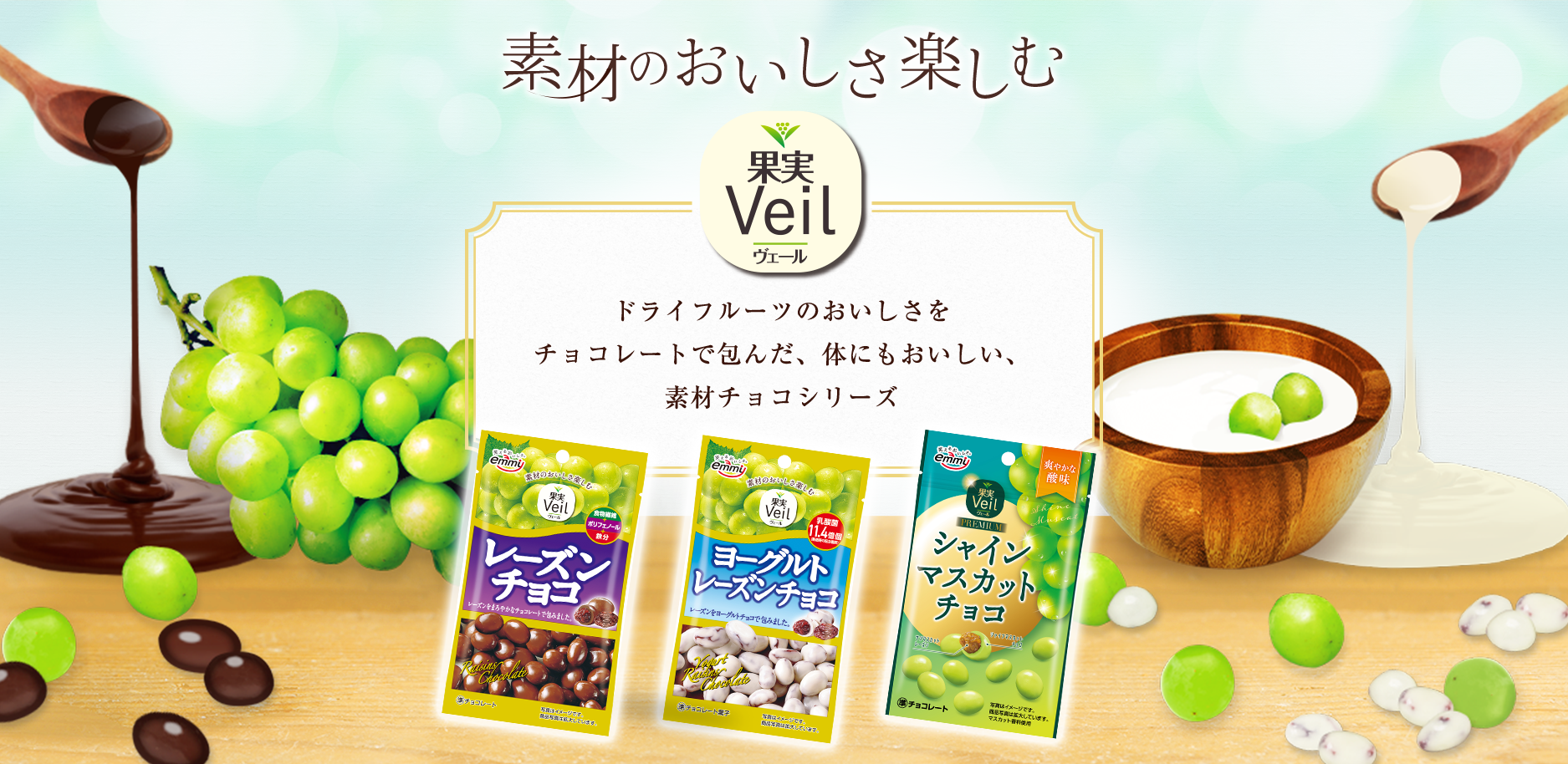 素材のおいしさそのまま フルーツとチョコのおいしい出会い ドライフルーツの自然なおいしさをチョコレートで包んだ素材を活かした、ひと粒スイーツ