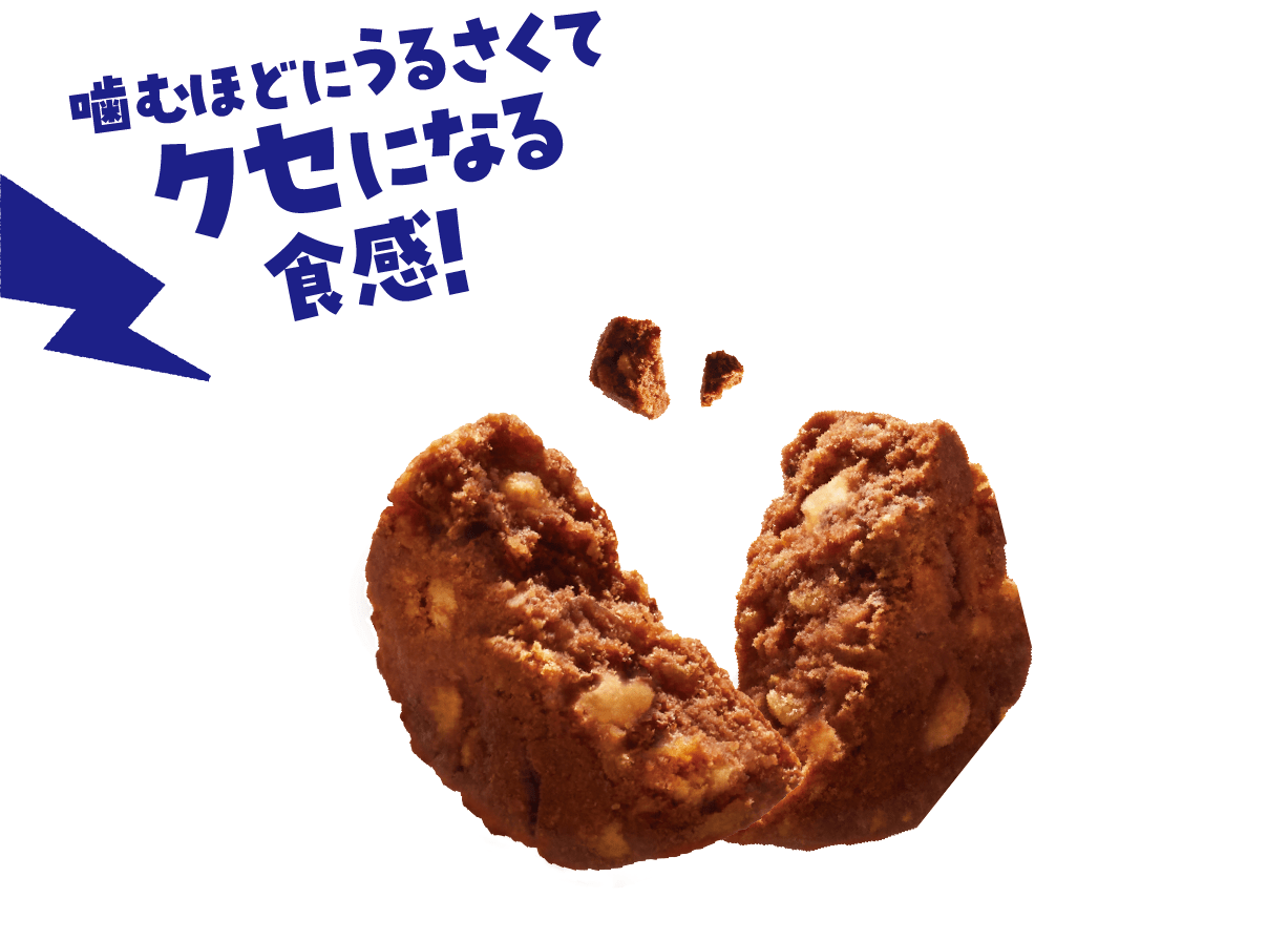 ザクっと轟音ココアクッキー