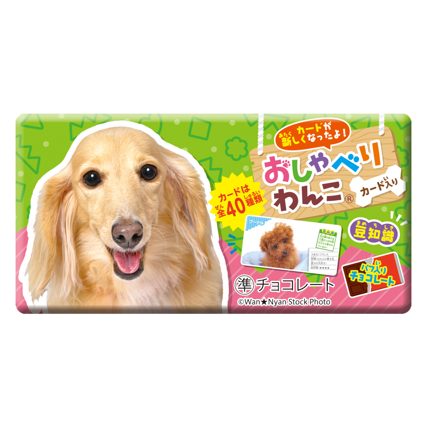 おしゃべりわんこ